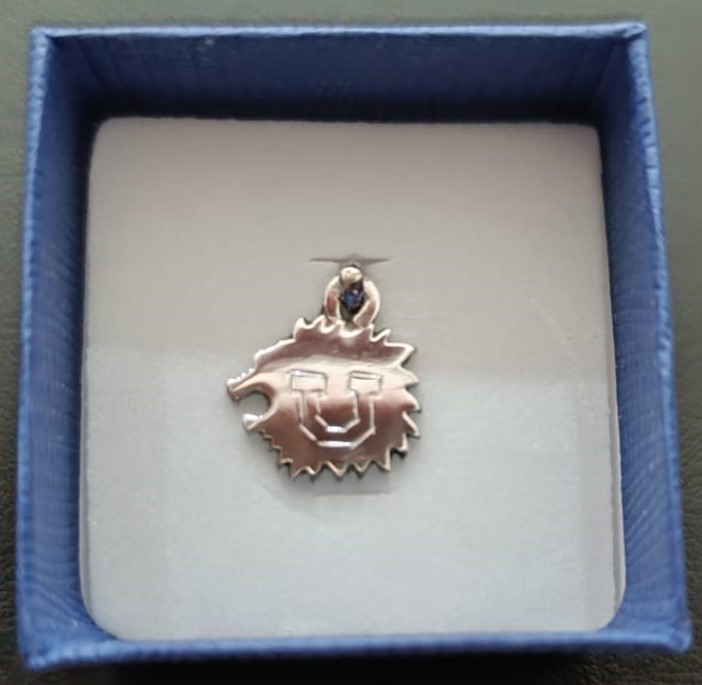 Colgante de León U de Chile