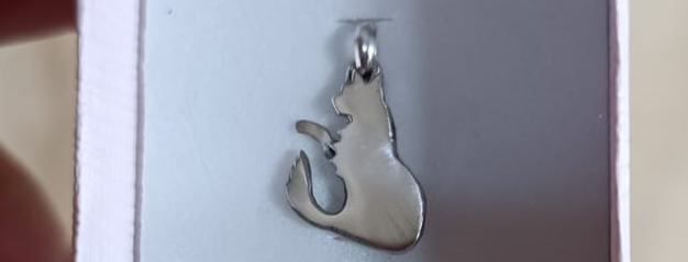 Colgante de Gato en plata